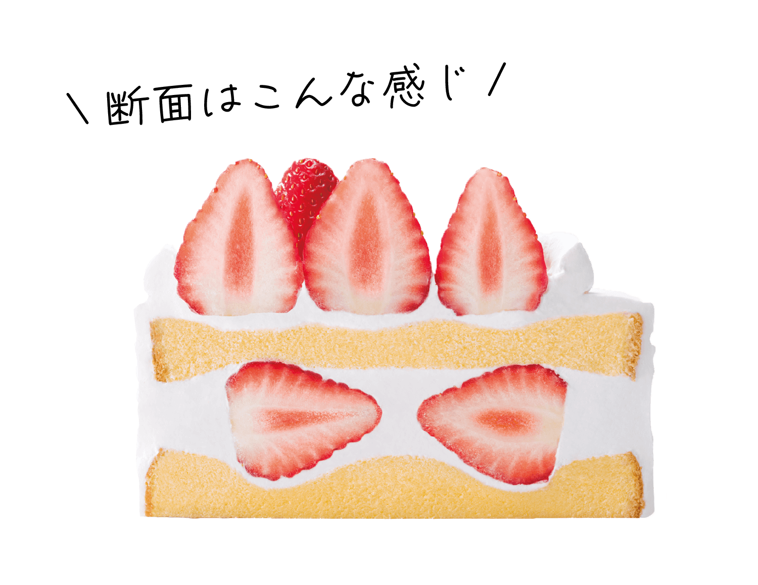断面はこんな感じ