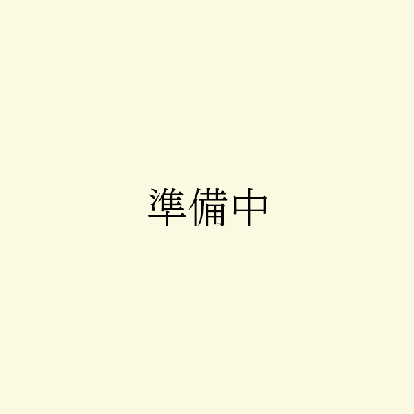 商品サイズ